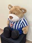 Peluches FC Porto