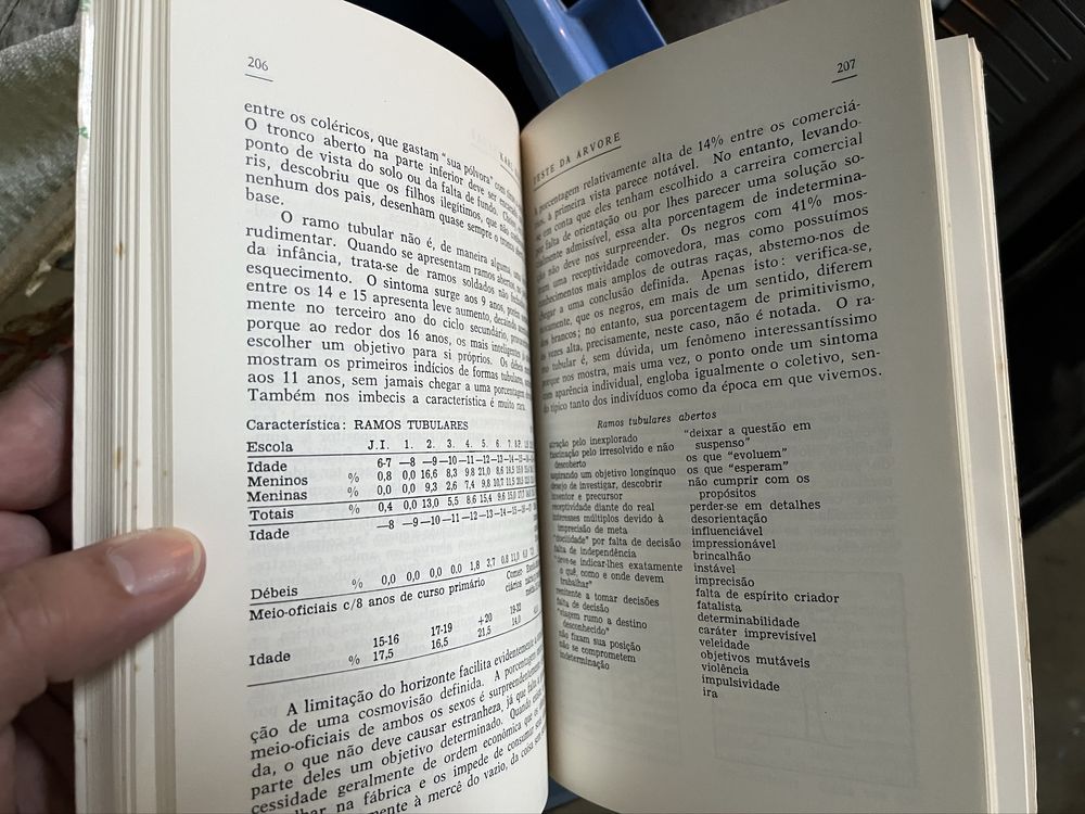 Teste da Arvore de Karl Koch