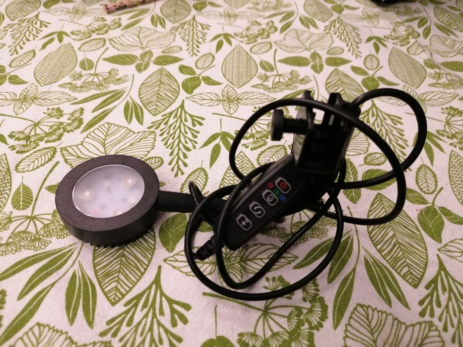 Lampka niebieska led do akwarium