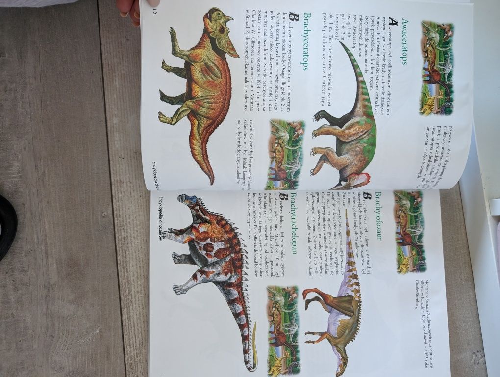 Encyklopedia dinozaurów