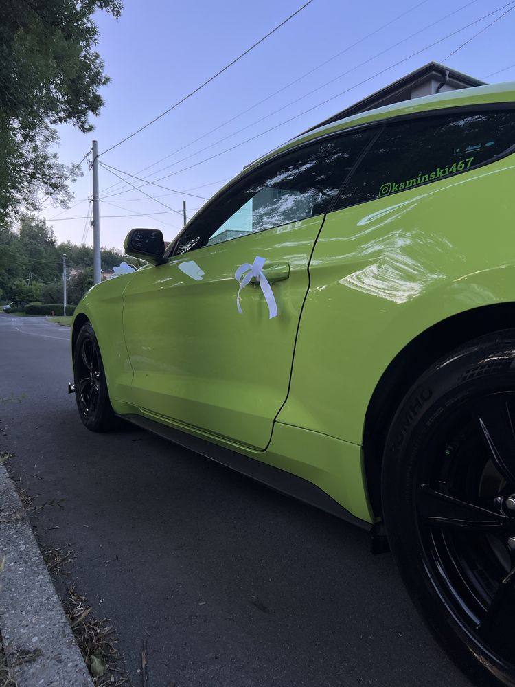 Ford Mustang 2.3 EcoBoost 317 KM do Ślubu i Innych Okazji