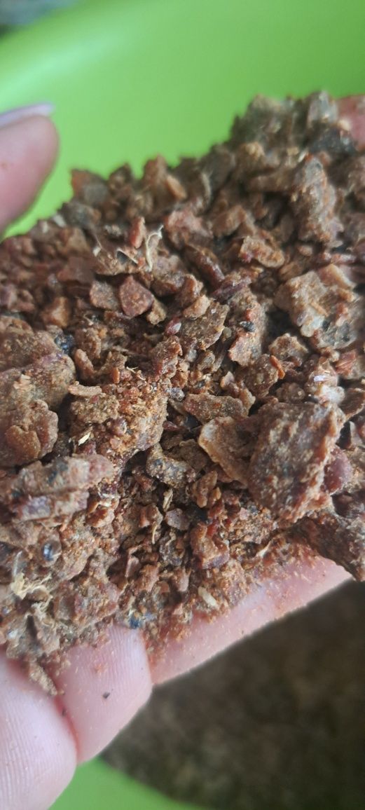 Propolis- kit szczeli