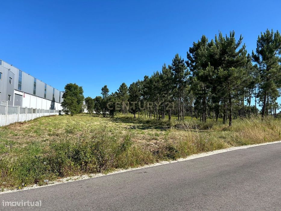 Terreno de Construção, na Rua da Oliveira, A-do-Barbas, Maceira
