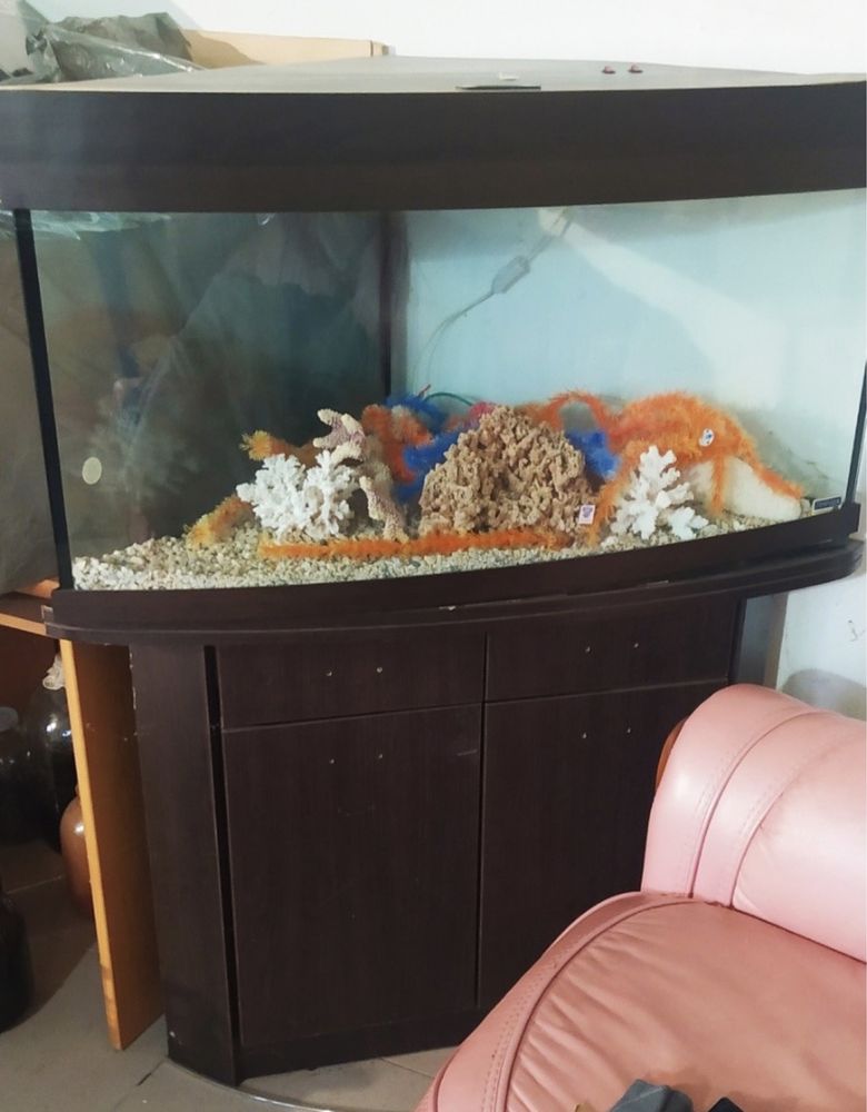 Продам акваріум з тумбою, кутовий+ корали і грунт