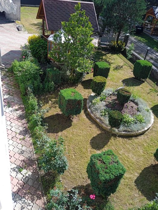 Відпочинок у Верховині у Карпатах кімнати подобово