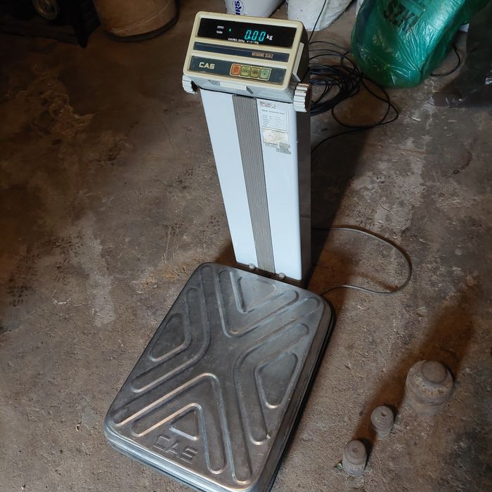 Waga CAS 150kg platforma
