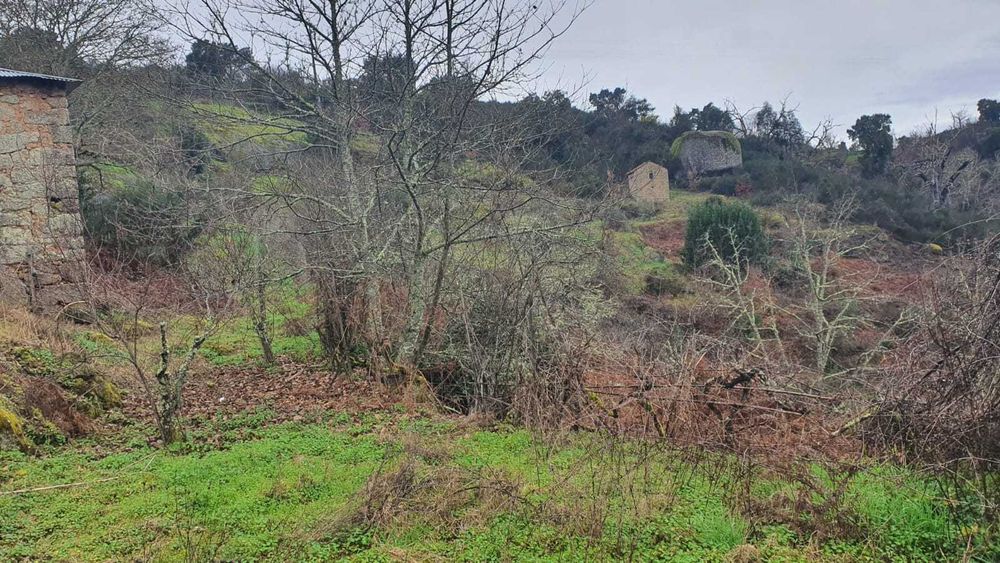 Propriedade com 4ha com Casas, Água, Vista e Muito Acolhedora