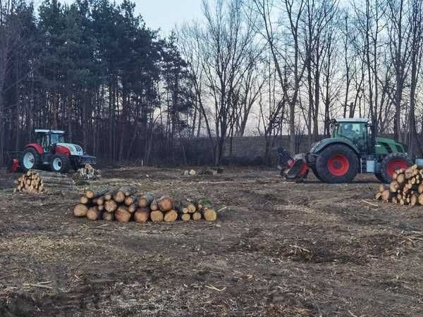Mulczer leśny / Mulczowanie / Wycinka drzew / Karczowanie
