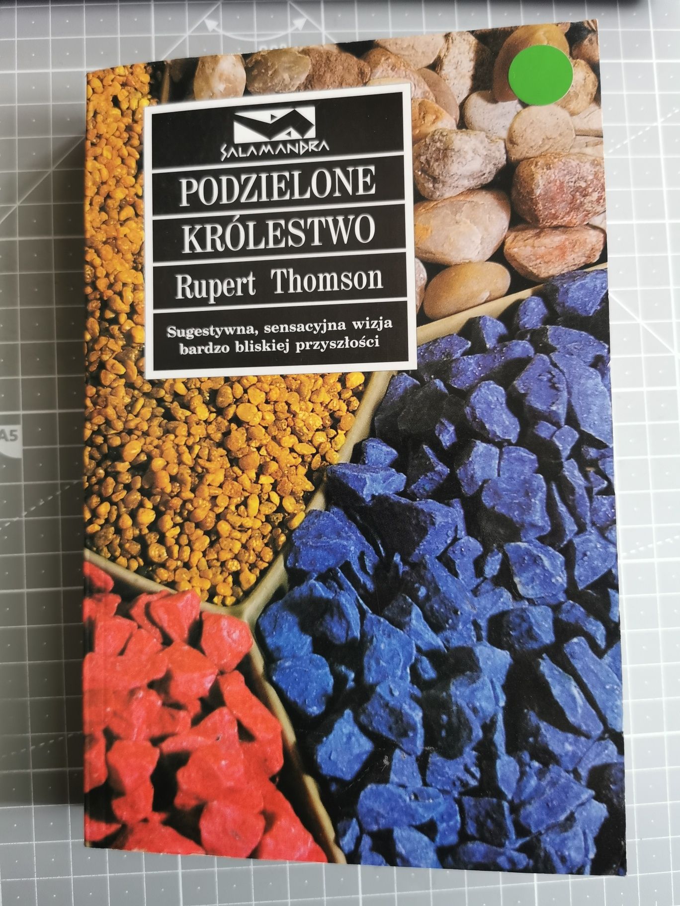 Książka Podzielone Królestwo Rupert Thomson