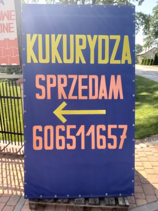 Kukurydza sucha workowana 30 zł za 25 kg