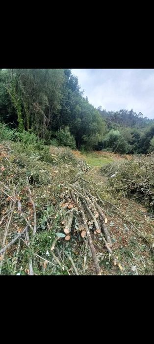 Limpeza de terrenos e outros serviços