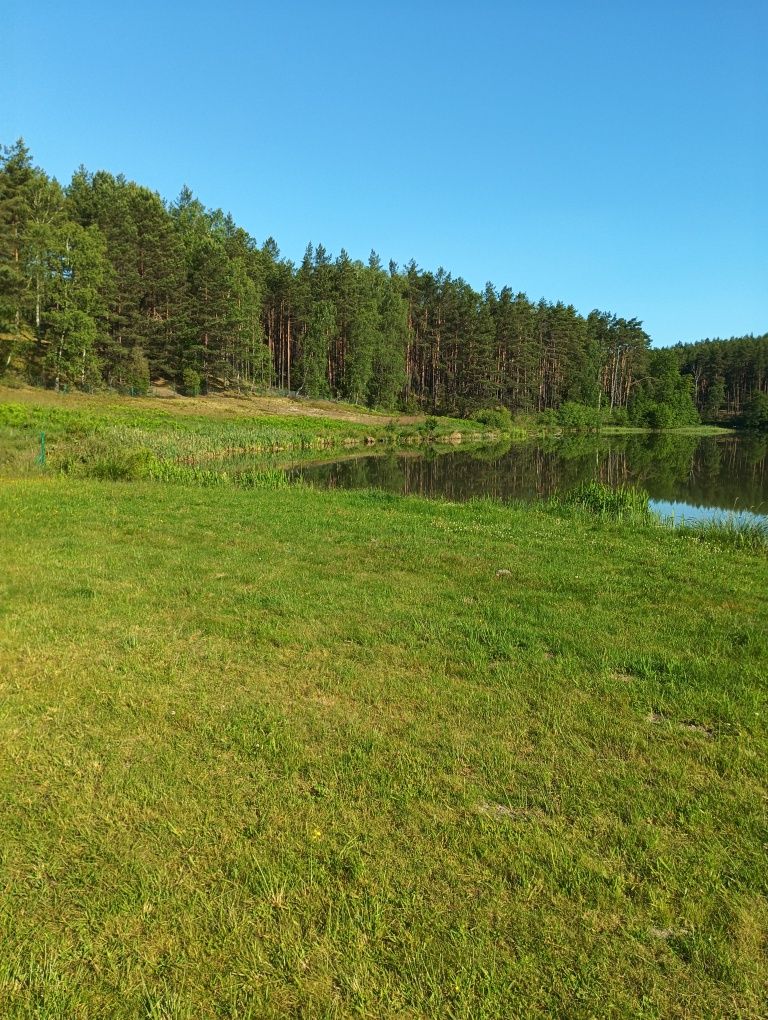 Wynajmę 3 apartamenty nad jeziorem z linią brzegową na Kaszubach.