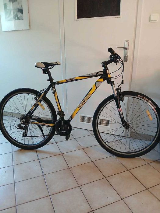 Rower męski Optima bike