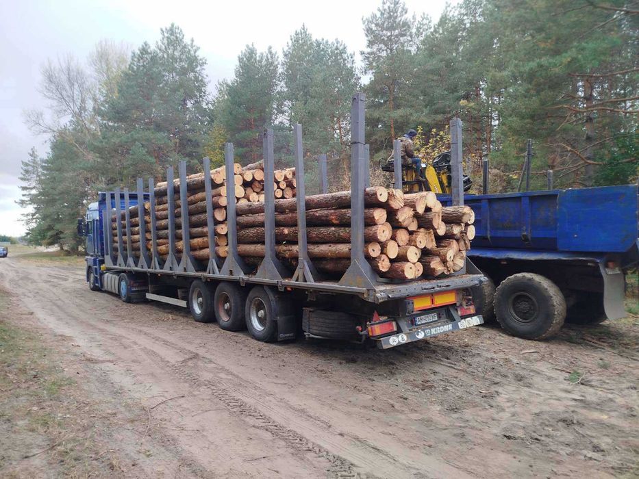 Сосна кругляк. Сосна для пилорам. Сосновый кругляк 4м,4,5м  20-25см