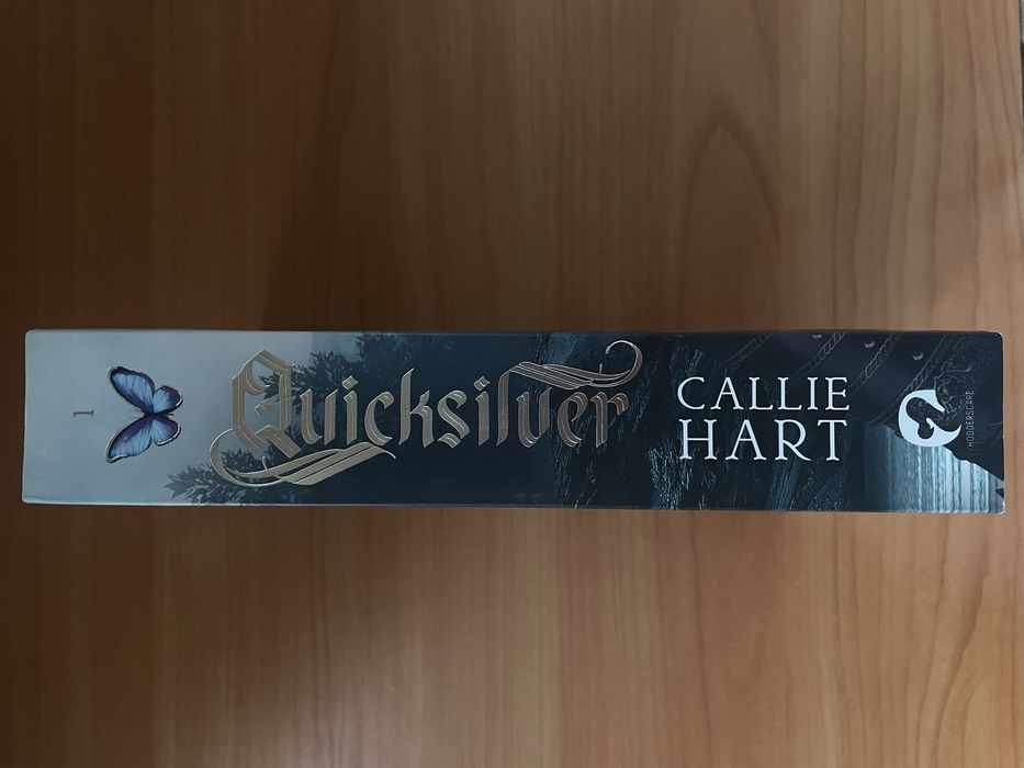 Quicksilver книга англійською