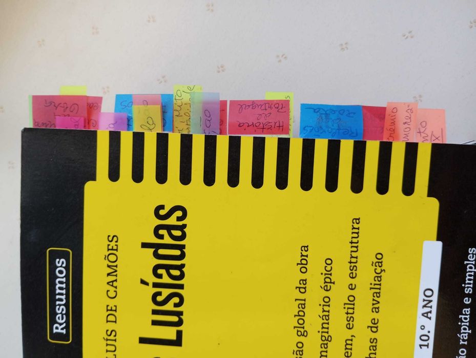 Colecção Resumos, Elaborados por professores