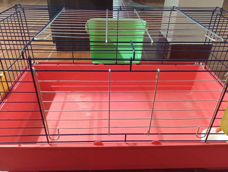 Gaiola coelho anão, porquinho da Índia