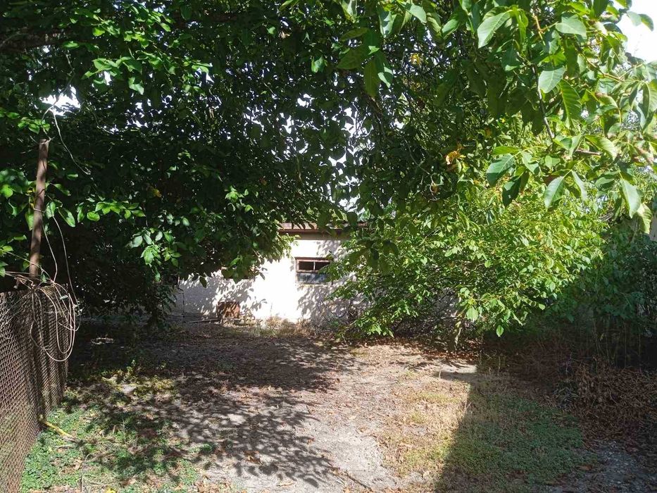 Будинок 4 кімнати на великій землі 30 соток с. Мочола 5 км до Берегова