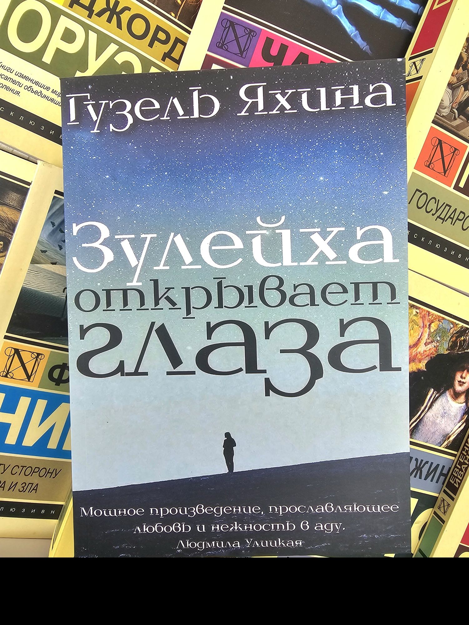 Книги Абгарян/Всё о Манюне/Маленькая жизнь/Хулейха/Выбор/Эгер/Освенцим