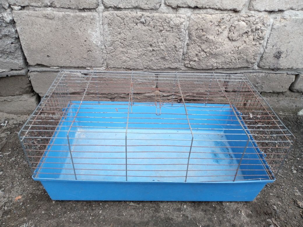 Klatka /Transporter dla Kur ,gołębi