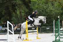 Cavalo de obstáculos