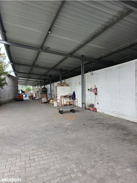 Magazyn Chłodnia Mroźnia