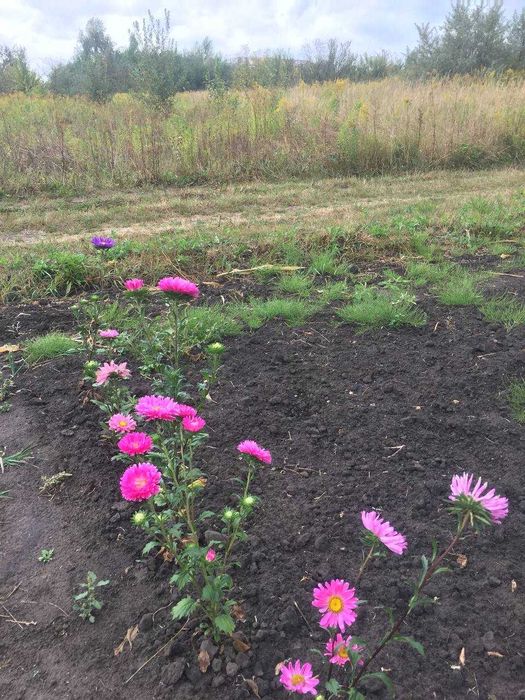 Продам  участок  р-н  ул. Коростеньская.