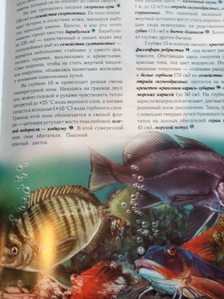 Книга "Подводный мир" Полная энциклопедия