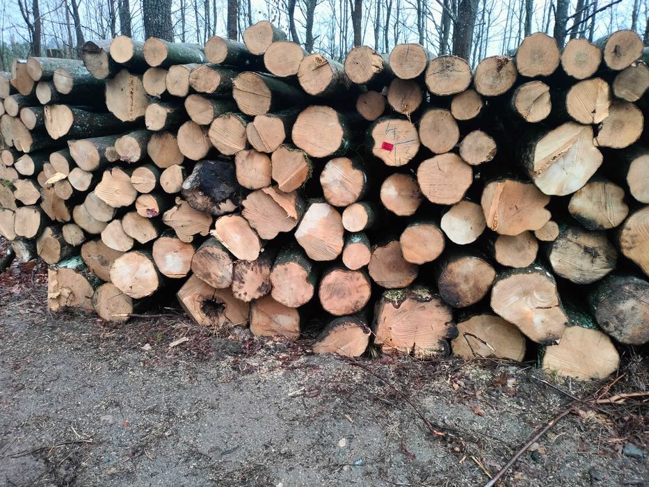 Drewno Opałowe i kominkowe