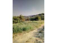 Terreno Urbano