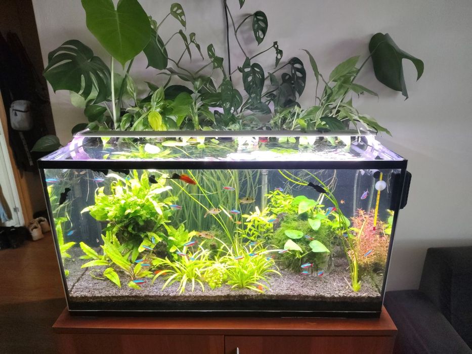 Akwarium 112l komplet + szafka