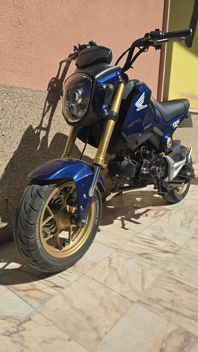 Honda msx 125 grom