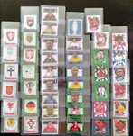 Cromos Paralelos Topps Euro 2024