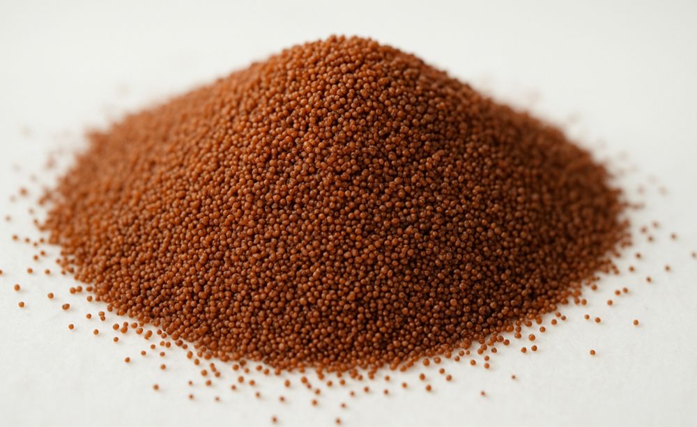 Ovos de Artémia de Alta Eclosão – Ideal para Alevinos!