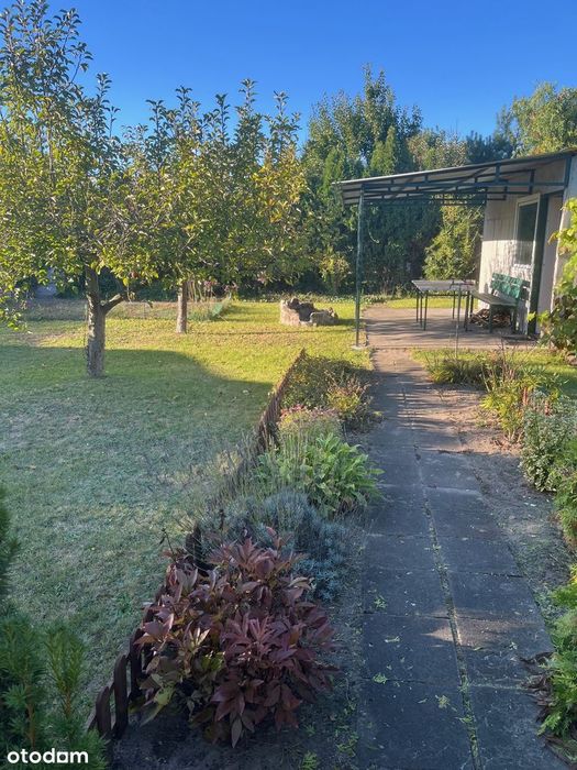 Działka ROD "Relaks" w Obornikach na sprzedaż.