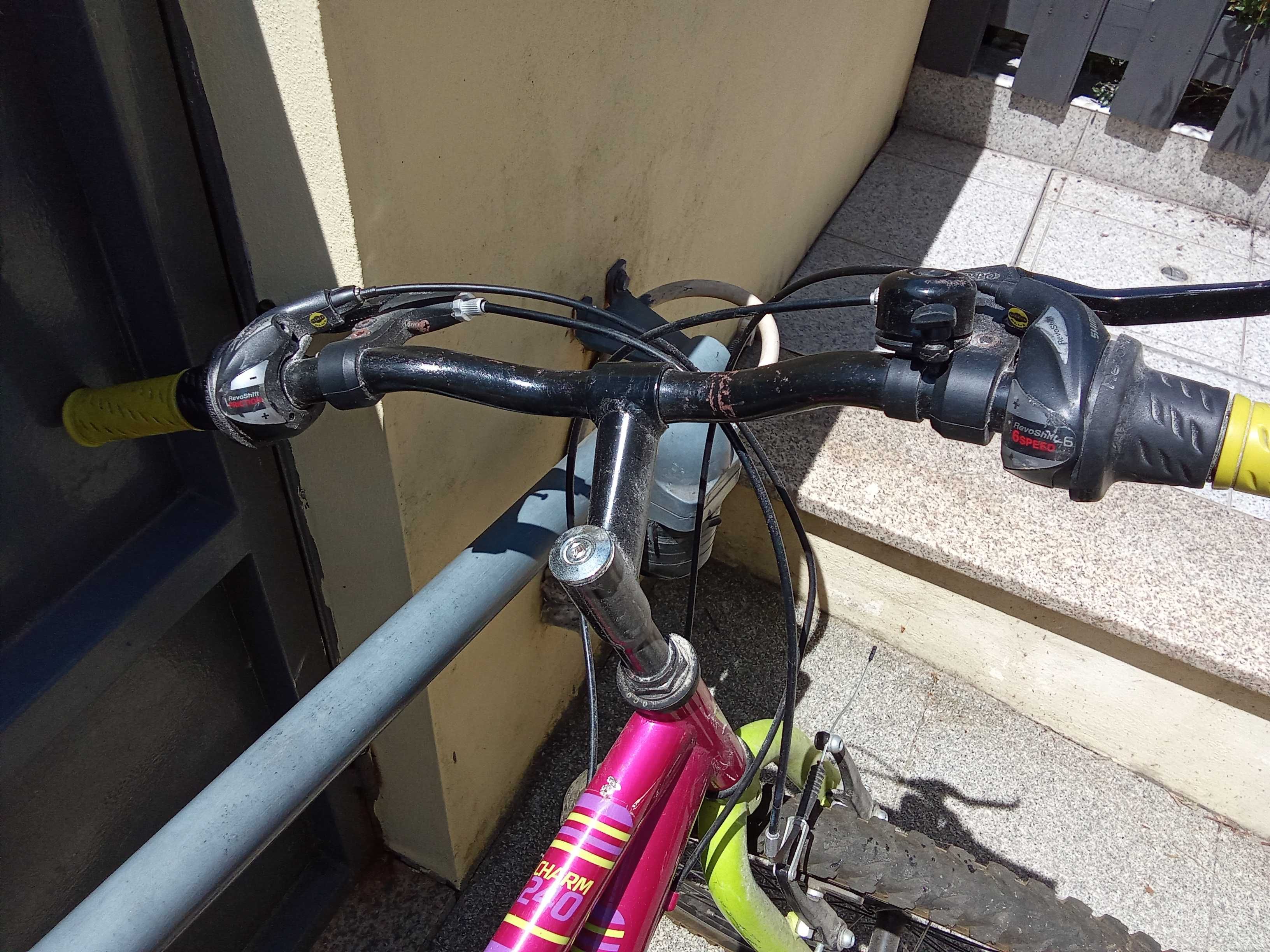Bicicleta menina