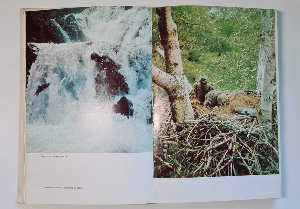 Жак-Ив Кусто Ив Паккале Лососи, бобры, каланы издание 1983 года