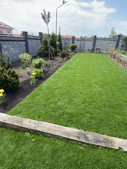 Скарифікація, аерація газону, догляд за газоном