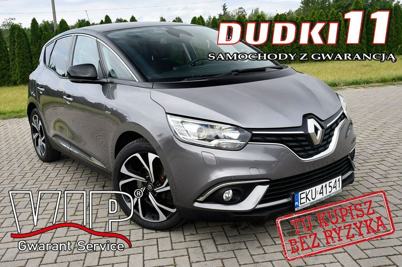 Renault Scenic 1,2Turbo Ledy.Navi.Hak.Kam.Cof.Tempomat.BOSE>Serwis.OKAZJA