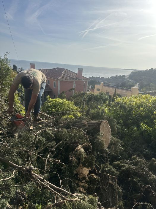Limpeza terrenos, corte arvores, jardinagem ,trabalhos de maquina