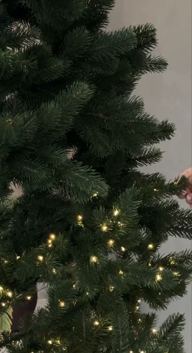 Лита ялинка зелена!