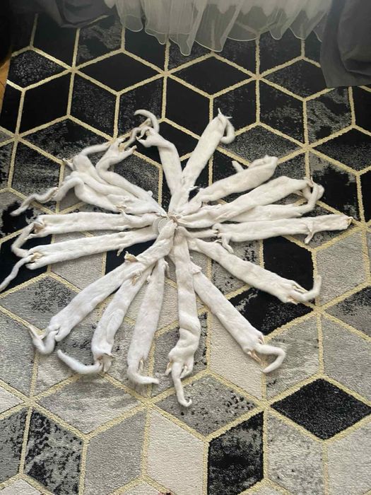 Хутро норки  для пошиву 17 шт