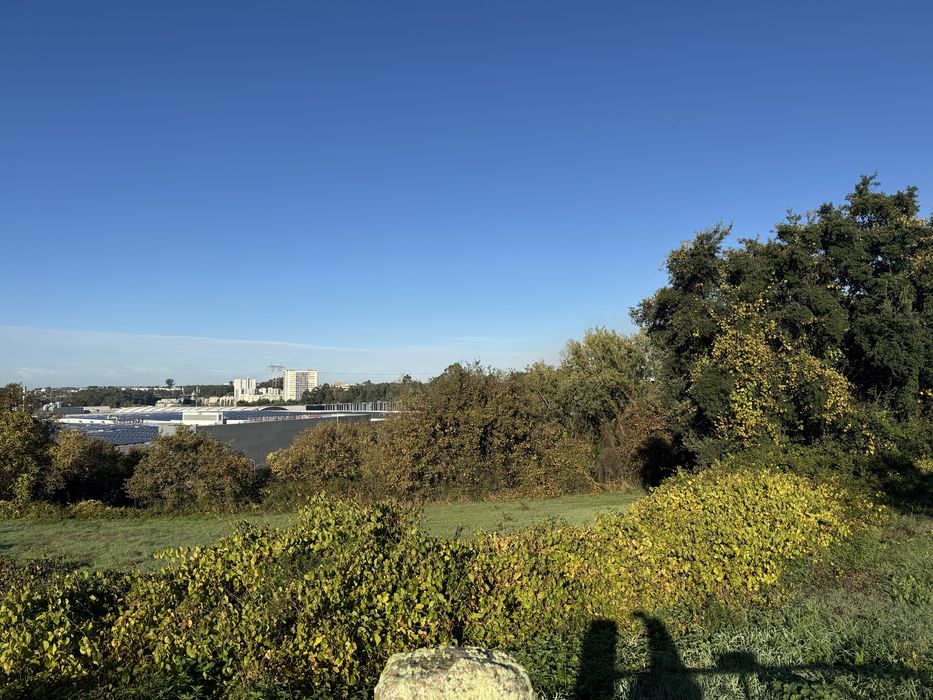 Terreno para agricultura ou criação de animais- Maia