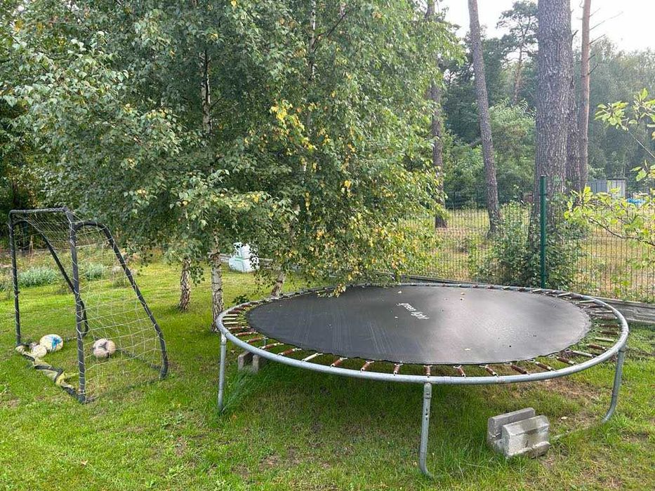 oddam za darmo dużą trampolinę