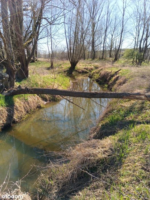 Działka rekreacyjna blisko jeziora