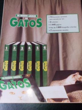 Os nossos amigos: Os GATOS.
