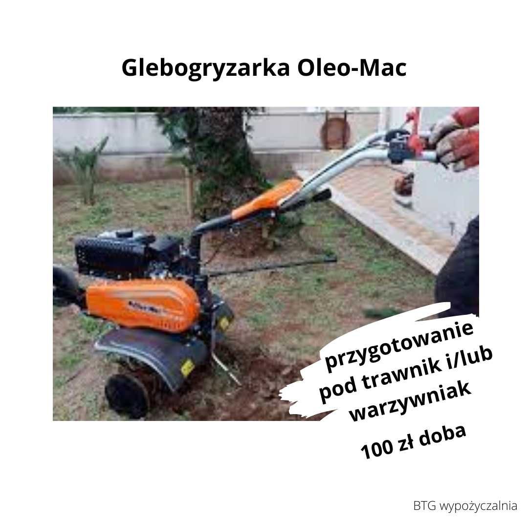 Glebogryzarka do wynajęcia, glebogryzarka na wynajem/wypożyczalnia