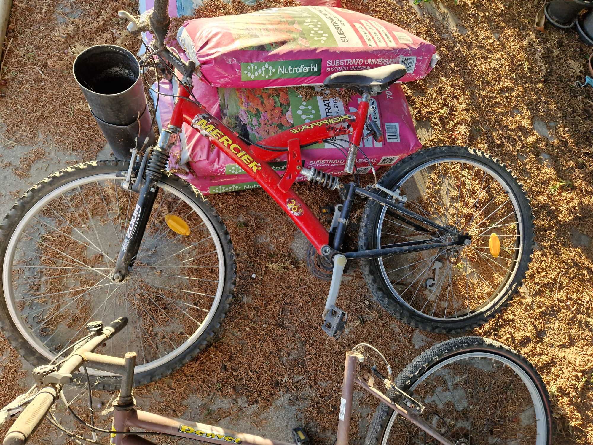 Lote de 4 Bicicletas
