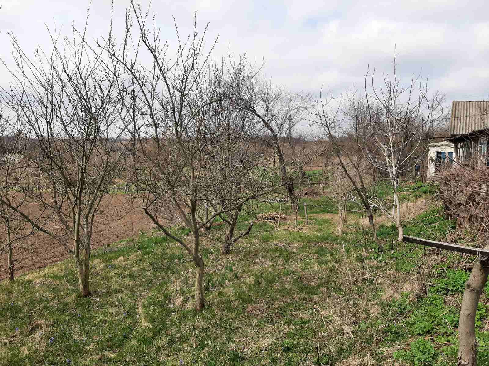 Терміново!!! Продам будинок в Олександрівському районі, с Бовтишка.