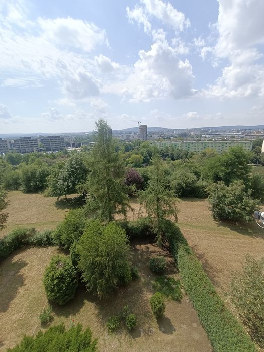 Pokój do wynajęcia